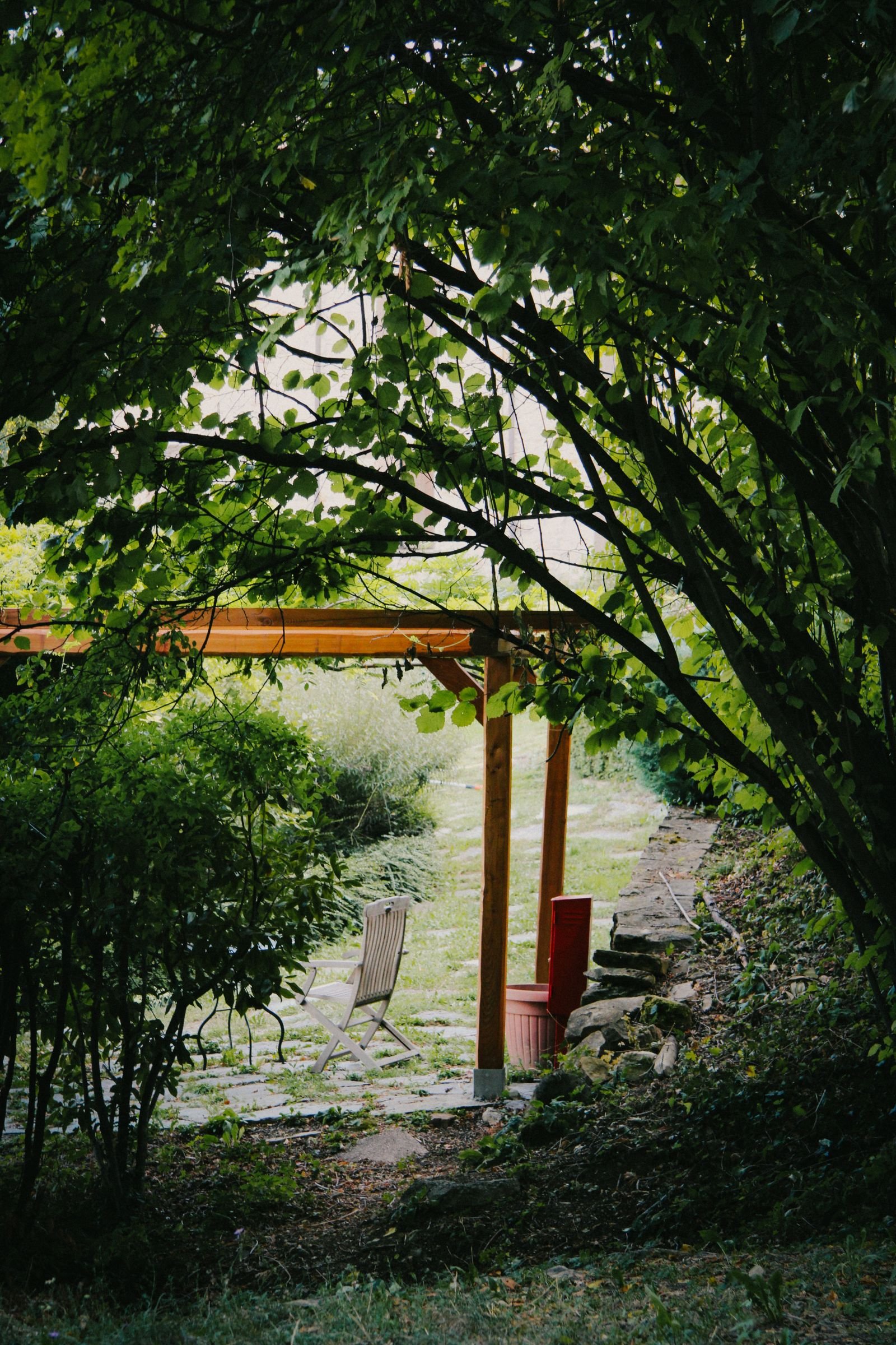 Timber arbor with climbing vines shading a garden seat