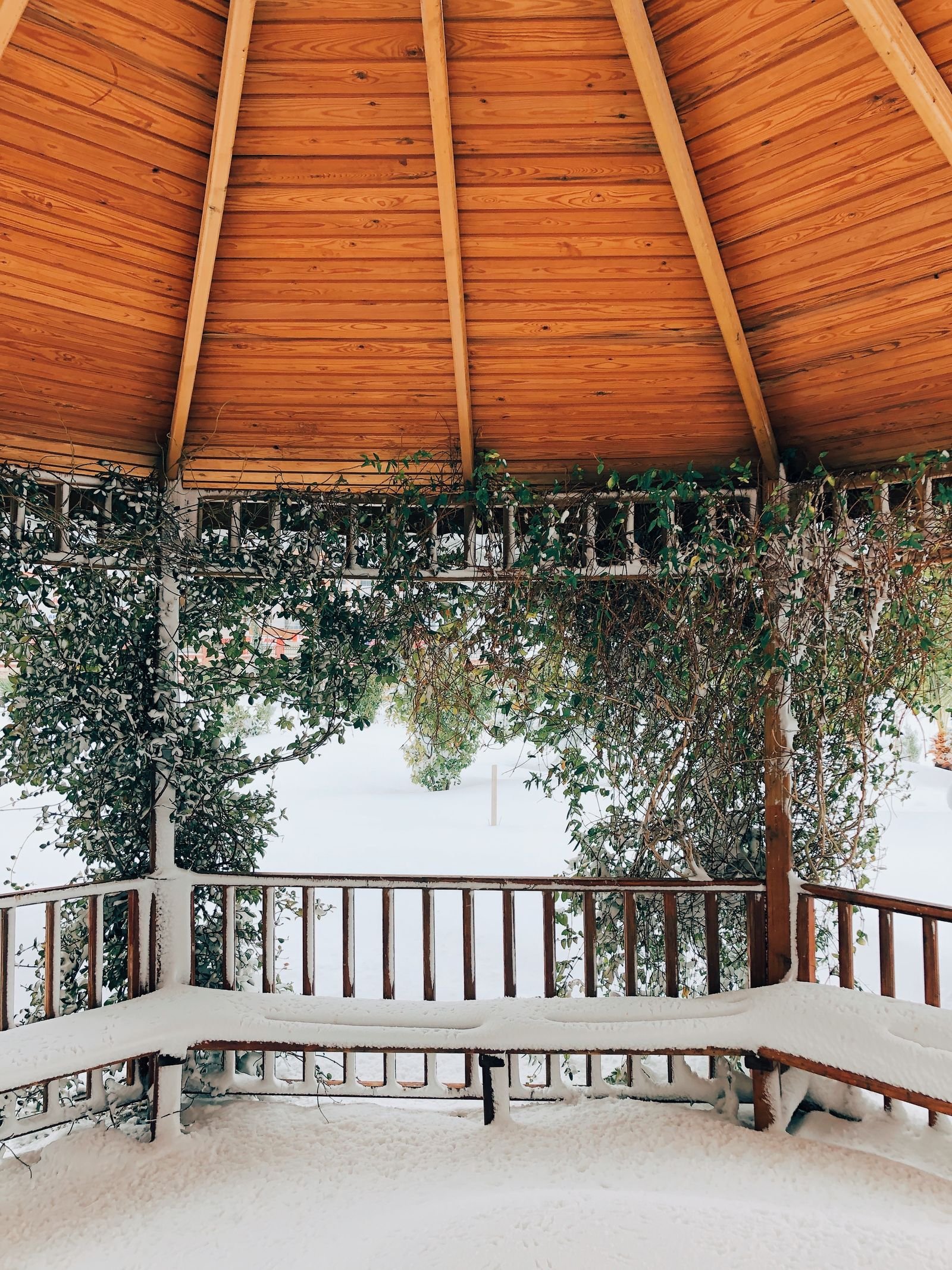 Garden structure under snow with a timber ceiling